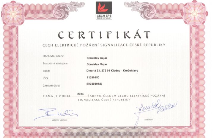  CechEPS_2024 